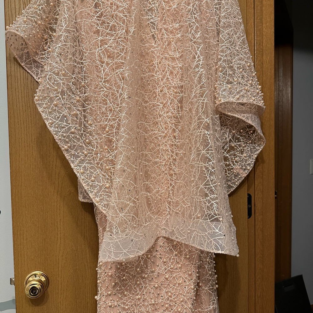 Elegant Lace Overlay Dress